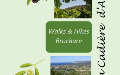 Walks & Hikes Brochure